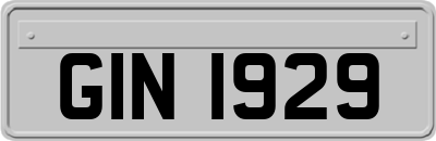 GIN1929
