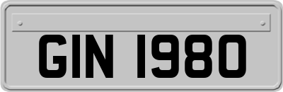 GIN1980