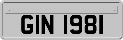 GIN1981