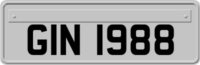 GIN1988