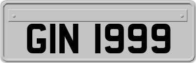 GIN1999