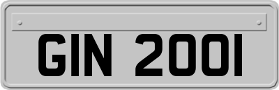 GIN2001