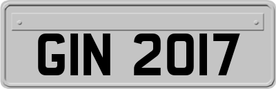 GIN2017
