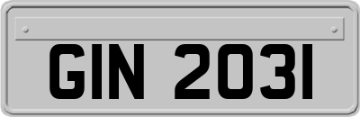 GIN2031