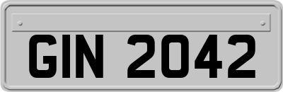 GIN2042