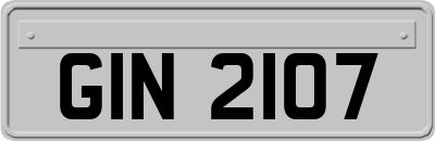 GIN2107