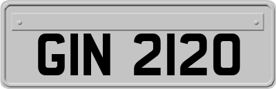 GIN2120