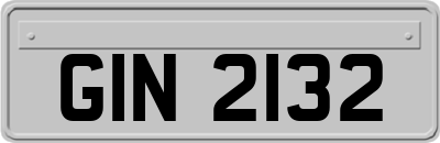 GIN2132