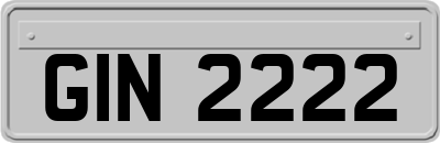 GIN2222