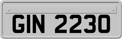 GIN2230