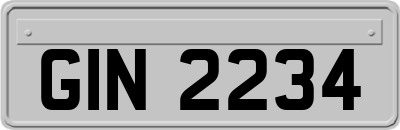 GIN2234