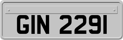 GIN2291
