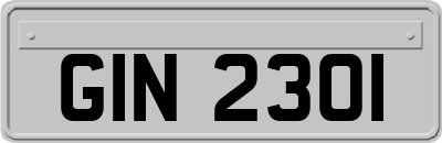 GIN2301