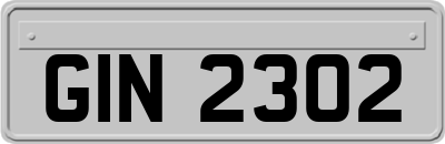 GIN2302