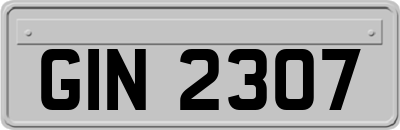 GIN2307