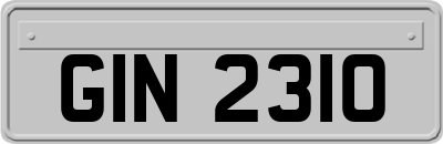 GIN2310
