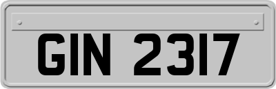 GIN2317