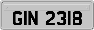 GIN2318