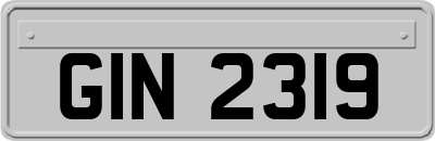 GIN2319