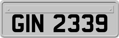 GIN2339