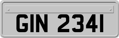 GIN2341