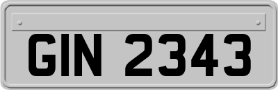 GIN2343