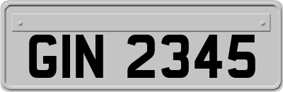 GIN2345