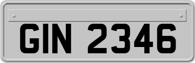 GIN2346