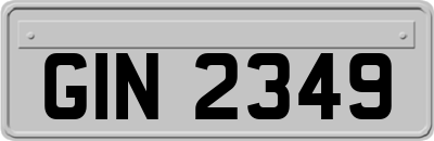 GIN2349