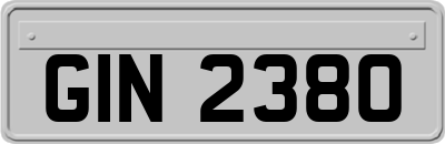 GIN2380