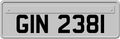 GIN2381