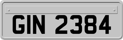 GIN2384