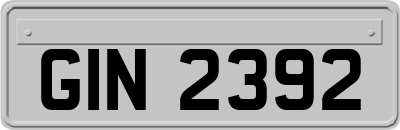 GIN2392