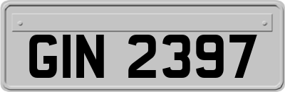 GIN2397