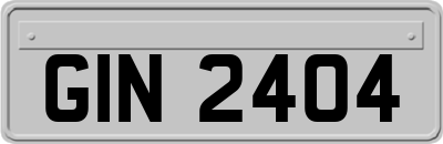 GIN2404