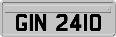 GIN2410