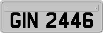 GIN2446
