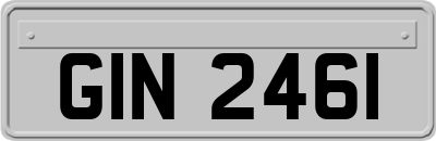 GIN2461