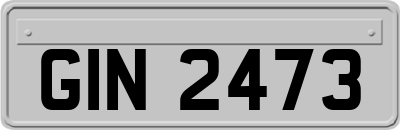 GIN2473
