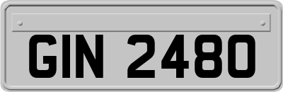 GIN2480