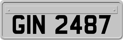 GIN2487