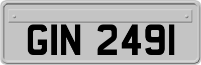 GIN2491