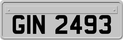 GIN2493