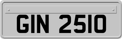 GIN2510