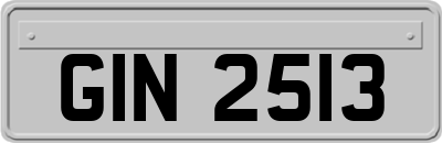 GIN2513