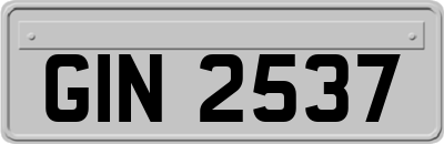 GIN2537