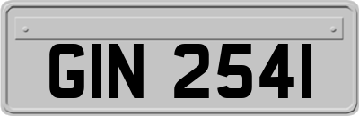 GIN2541
