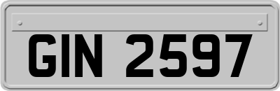 GIN2597