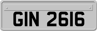 GIN2616