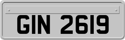 GIN2619